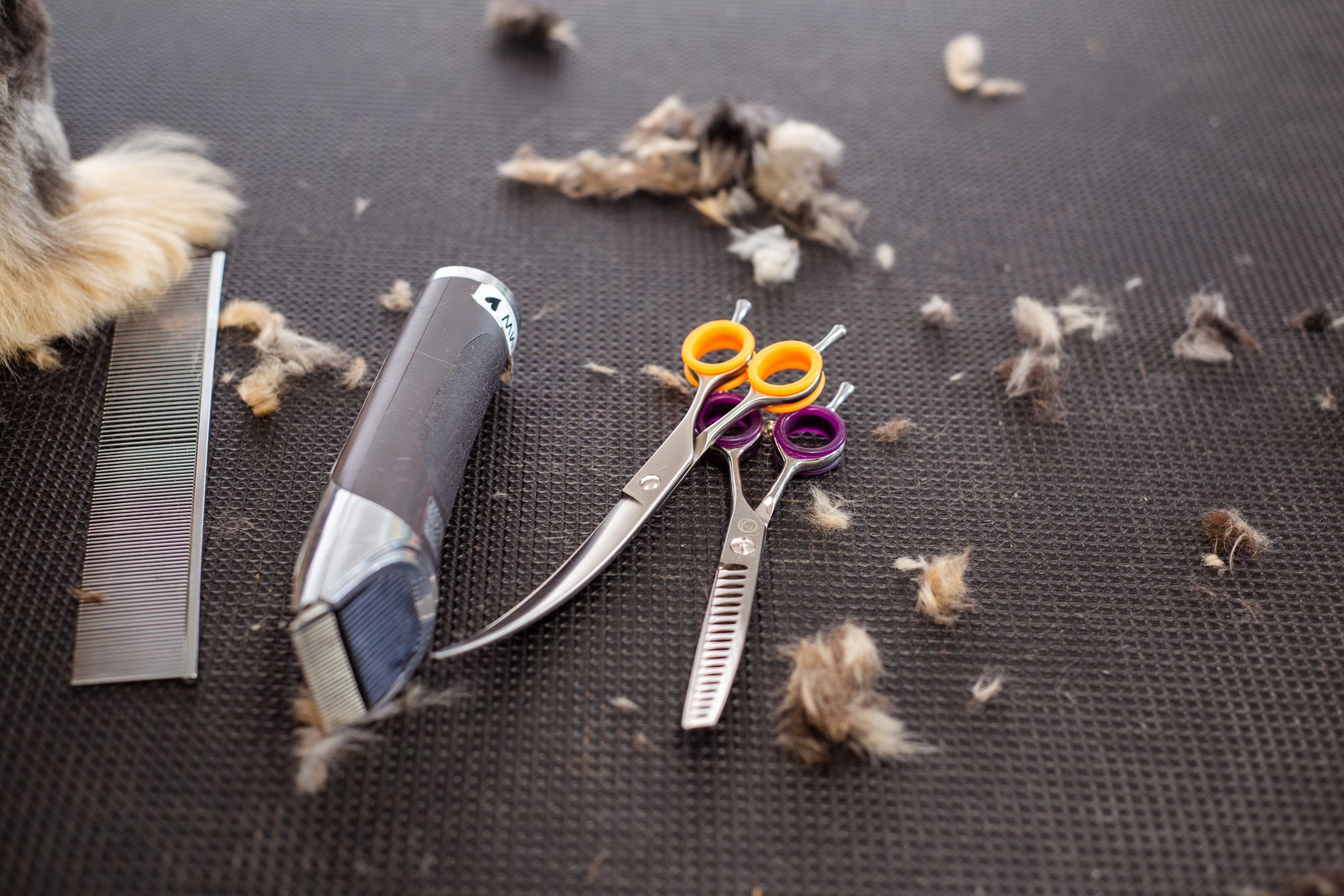 Grooming tools on the black non-slip mat of a grooming table: a metal comb, a clipper, curved shears and thinning shears, with tufts of clipped dog hair around them