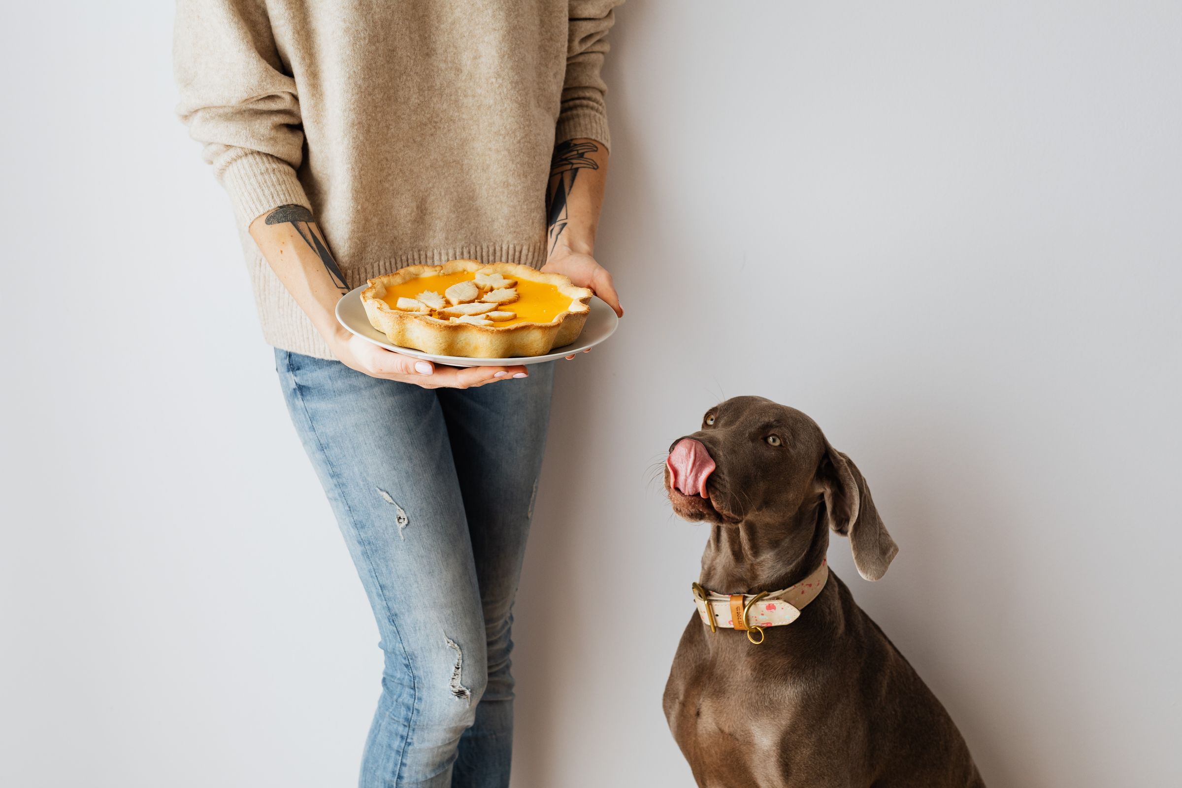 Caniche mirando alimentos peligrosos para perros sobre una mesa de cocina