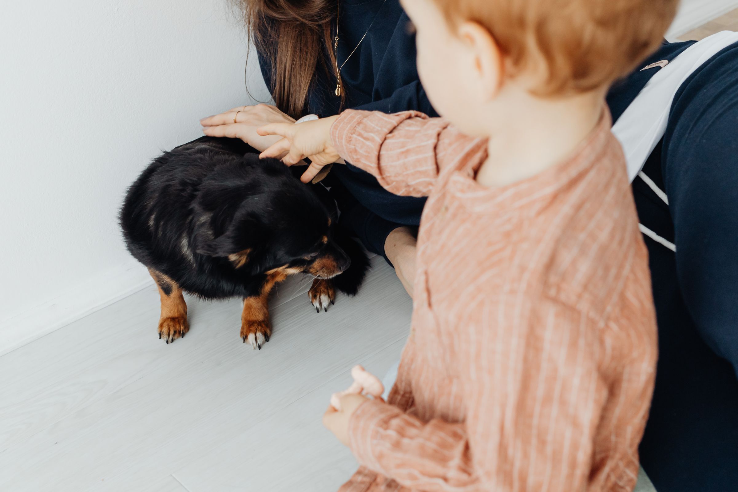 Poodle sitting calmly next to a young child
